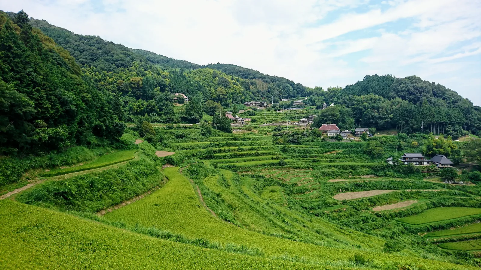 岡山県久米南町の棚田と山並み